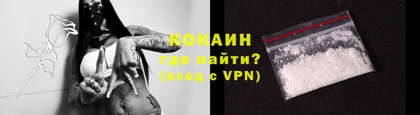 индика Нефтегорск