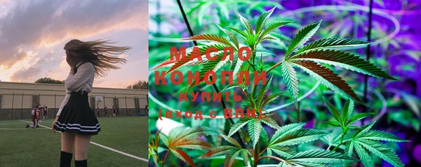 индика Нефтегорск