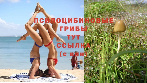 индика Нефтегорск