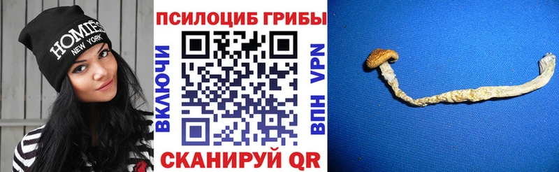Псилоцибиновые грибы мухоморы  даркнет формула  Павлово 