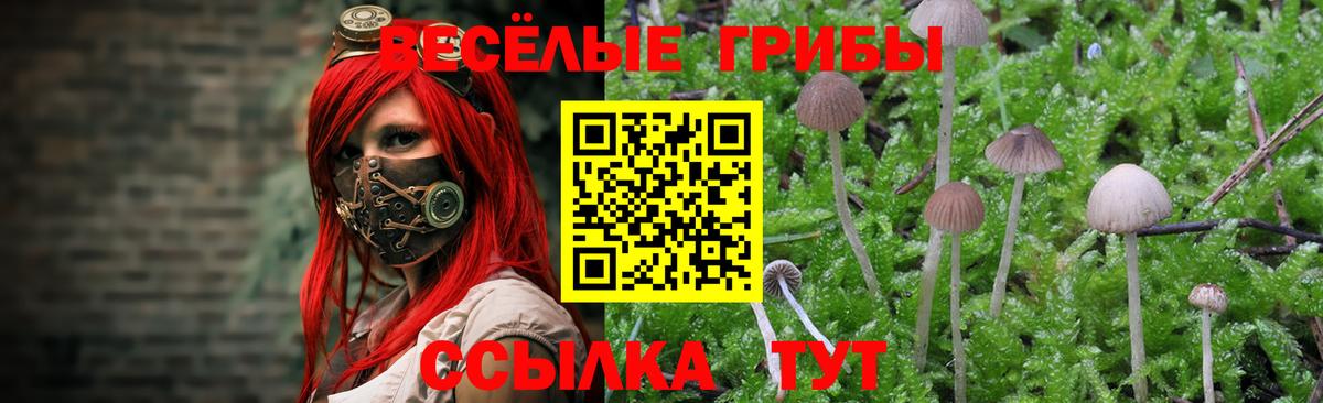 Павлово  Псилоцибиновые грибы GOLDEN TEACHER  купить закладку  Вход с VPN 