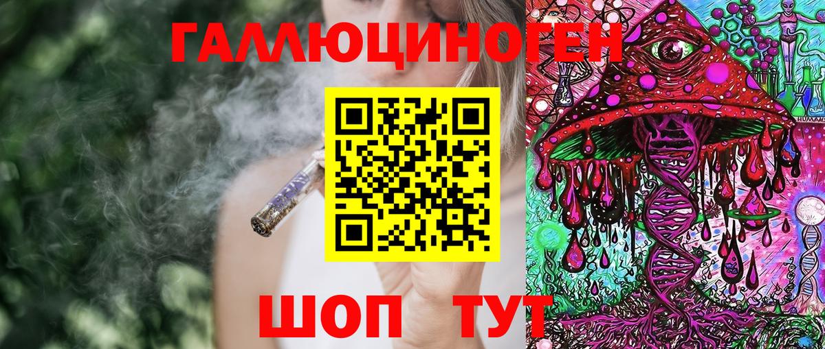 Галлюциногенные грибы Psilocybine cubensis Павлово