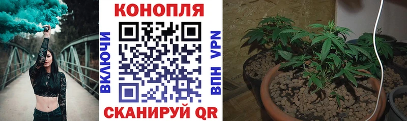 гидра сайт Павлово Бошки Шишки план